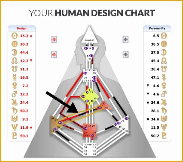 Canal No Grafico de Desenho Humano Portugal