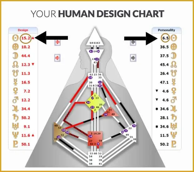 S*I様 Human Design How To Interpret A Human Design Chart | João Matos