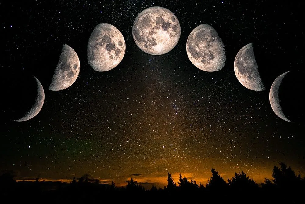 A Estratégia de um Refletor esperar um ciclo lunar de 28 dias - Desenho Humano
