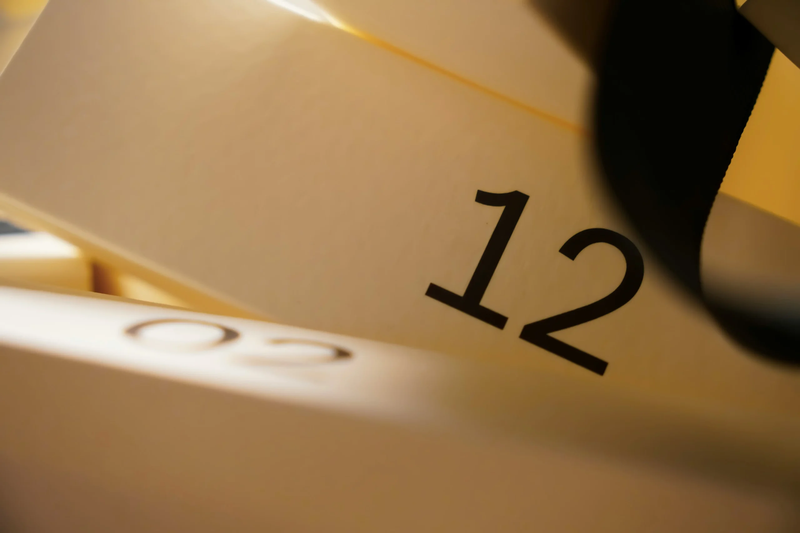 Programa de 12 Semanas
