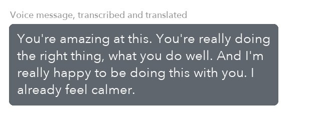 Message from a Coaching Program client, translated from Portuguese
